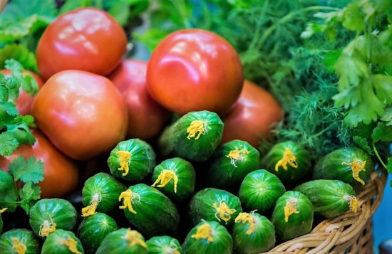 Госзакупки импортных томатов и огурцов ограничат