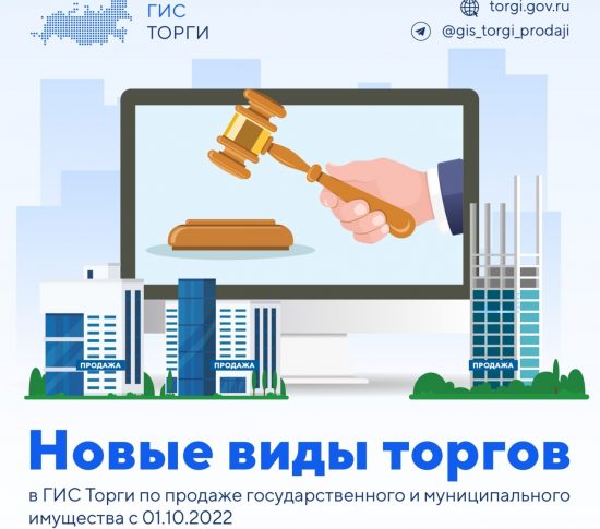 Минфину РФ поручено провести эксперимент по продаже непрофильных активов госкомпаний в ГИС 